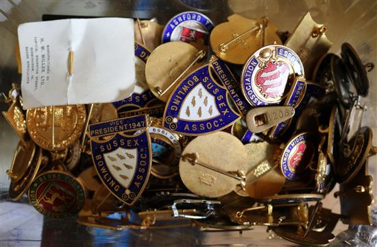 Collection of England and Country Bowls enamel badges